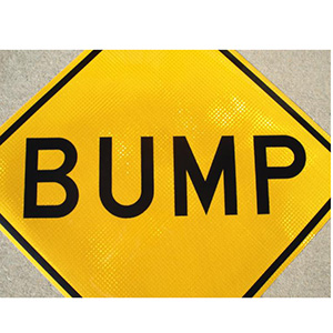 bump_sign_W8-1_large.JPG