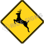 Deer Signs